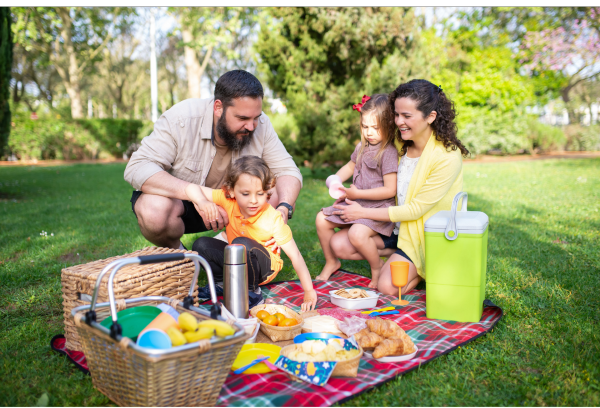 family picnic